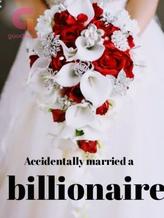 Accidentally married a billionaire