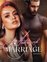 Novel Awkward Marriage by Danny Walker