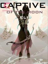 Novel CAPTIVE OF THE MOON ELF by Gabriela Ellis