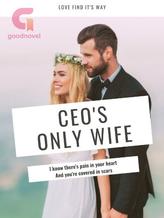 Novel CEO’s Only Wife by Kiko