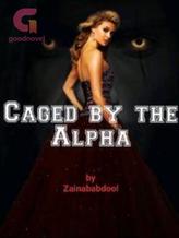 Novel Caged By The Alpha by Zainababdool