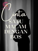 Novel Cinta Satu Malam dengan Bos by Tetey