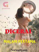 Novel DICERAI SETELAH MALAM PERTAMA by Norasetyana