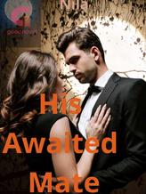 Novel His Awaited Mate by Nila