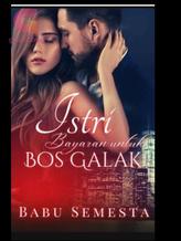 Novel Istri Bayaran Untuk Bos Galak by Babu Semesta