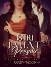 Novel Istri Jahat Presdir by Queen Moon