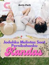 Novel Jodohku Melintas Saat Pernikahanku Kandas by Aeris Park