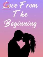 Novel Love From The Beginning by Jin Stephen