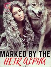 Novel Marked by the Heir Alpha by Jayson MW