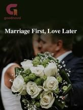 Novel Marriage First, Love Later by BloomSummer