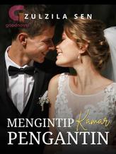 Novel Mengintip Kamar Pengantin by Zulzila Sen