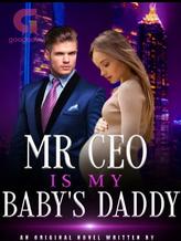 Mr CEO Is My Baby's Daddy