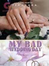 Novel My Bad Wedding Day (Indonesia) by terasora