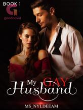 Novel My Gay Husband by Pseudonym