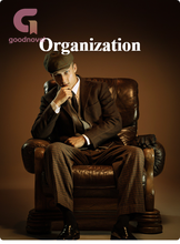 Novel Organization by Emelradine