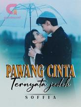 Novel Pawang Cinta Ternyata Jodoh by Soffia