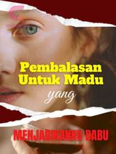 Novel Pembalasan untuk Madu yang Menjadikanku Babu by Hawa Hajari