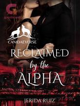 Novel Reclaimed by the Alpha by Jerida Ruiz