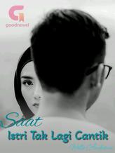 Novel Saat Istri Tak Lagi Cantik by Wella Andriana