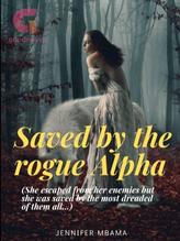 Novel Saved by the rogue alpha by Jennifer Mbama