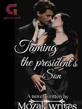 Novel Taming the president’s son by Mozak stories