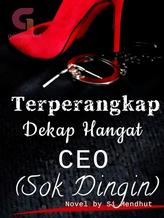 Terperangkap Dekap Hangat CEO (Sok Dingin)