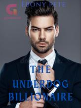 Novel The Underdog Billionaire by Ebony Pete