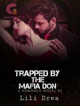 Trapped By The Mafia Don