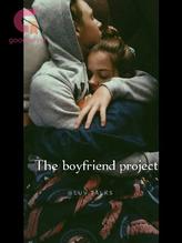 Novel the boyfriend project by Dorry