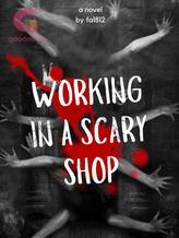 Novel working in a scary shop by Fa1812