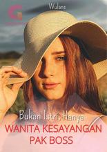 Novel Bukan Istri, Hanya Wanita Kesayangan Pak Boss by Wulans