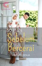 Novel Tiga Puluh Hari Sebelum Bercerai by Bintang Senja