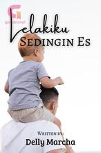 Novel Lelakiku Sedingin Es by Delly Marcha