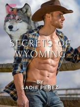 Novel Secrets of Wyoming by Sadieperez9