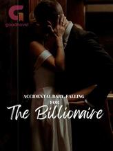 Novel Accidental Baby, Falling For The Billionaire. by Seunpeace