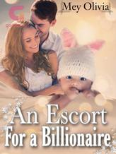 Novel An Escort for A Billionaire by Mey Olivia