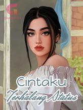 Novel Cintaku Terhalang Status by Teha