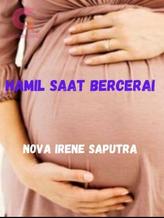 Novel HAMIL SAAT BERCERAI by Nova Irene Saputra