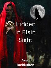 Novel Hidden In Plain Sight by Ansu Barkhuizen