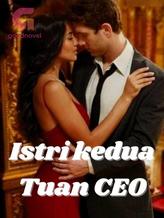 Novel ISTRI KEDUA TUAN CEO by VIGIANI NURIKE Novel ISTRI KEDUA TUAN CEO by VIGIANI NURIKE
