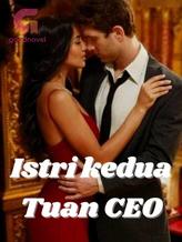 Novel ISTRI KEDUA TUAN CEO by VIGIANI NURIKE