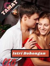 Novel Istri Bohongan CEO by Butiran_Debu