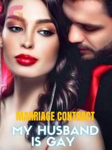 Novel Marriage contract: my husband is gay by Black Queen