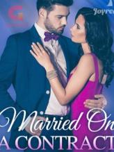 Novel Married on a contract by Bluey