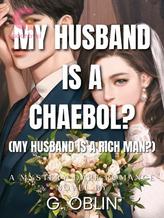 Novel My Husband Is A Chaebol? (My Husband Is A Rich Man?) by Latte