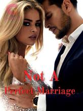 Novel Not A Perfect Marriage by Regaan