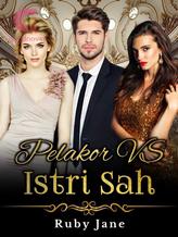 Novel Pelakor vs Istri sah by Ruby jane