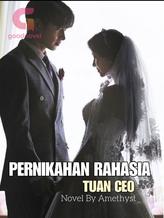 Novel Pernikahan Rahasia Tuan CEO by Amethyst_