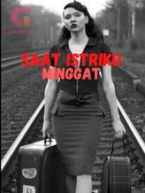 Novel SAAT ISTRIKU MINGGAT by ananda zhia