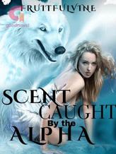 Scent Caught By The Alpha